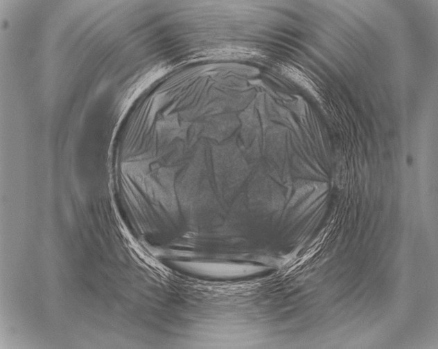 X0000058141087200510171356