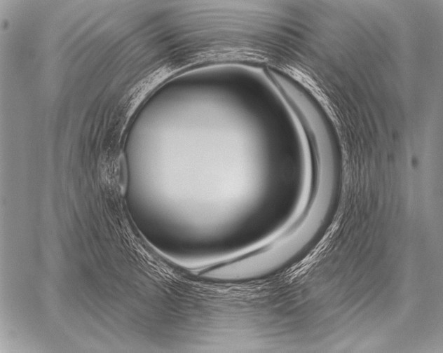 X0000058141089200510171356