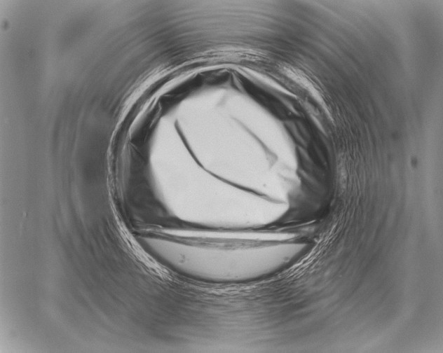 X0000058141091200510171356