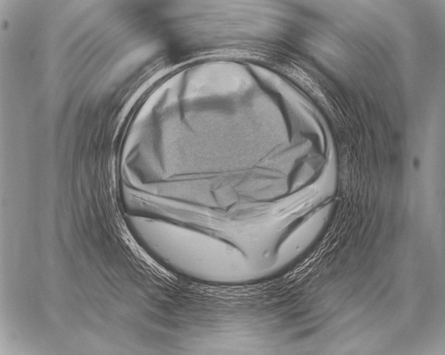 X0000058141092200510171356