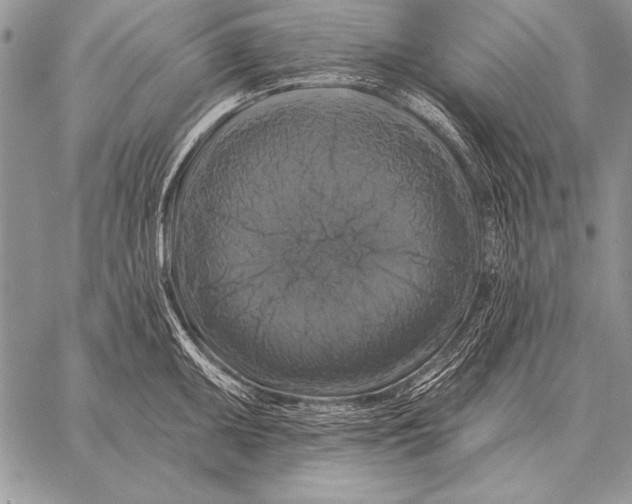 X0000058141095200510171356