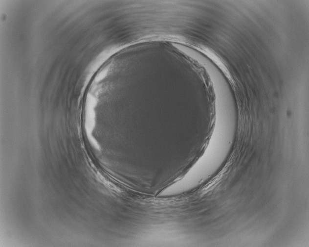 X0000058141102200510171356
