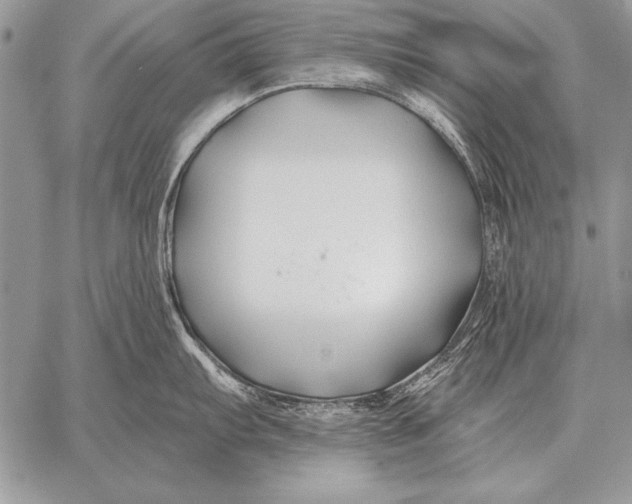 X0000058141103200510171356