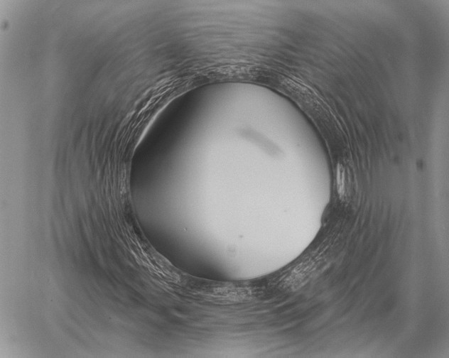 X0000058141107200510171355