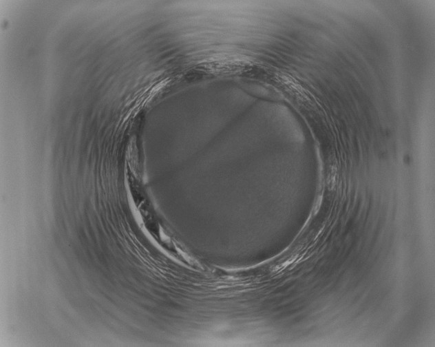 X0000058141108200510171355