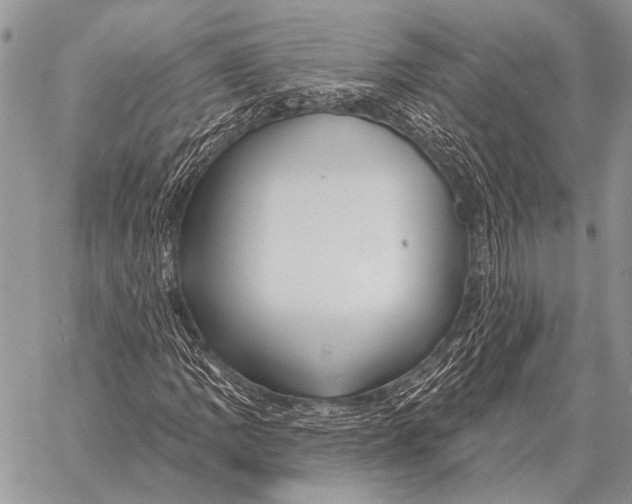 X0000058141109200510171355