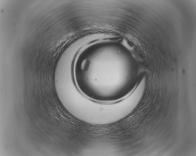 X0000058141110200510171355