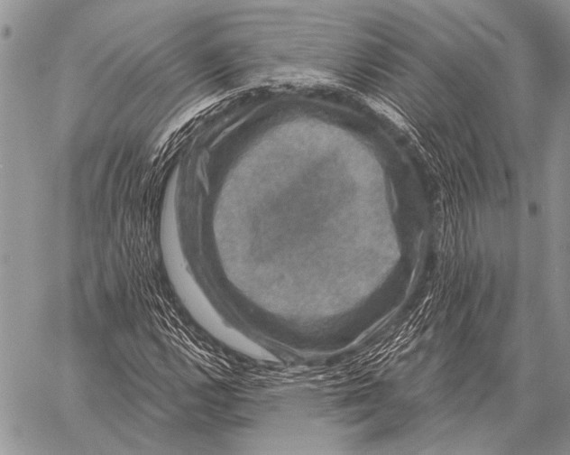 X0000058141112200510171355