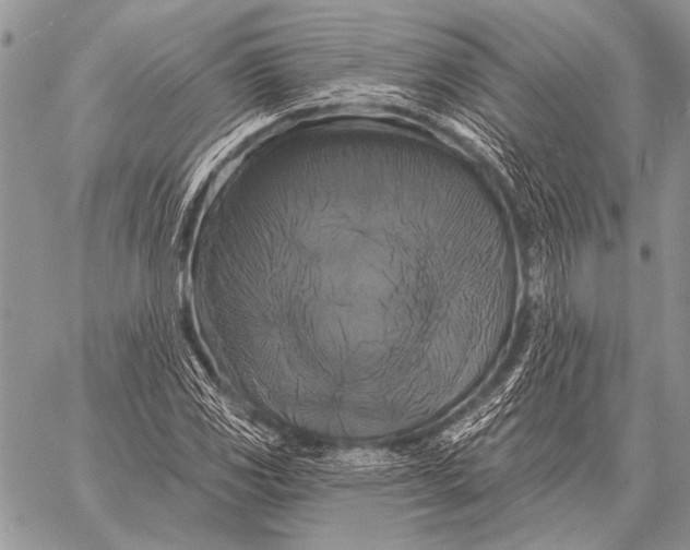 X0000058141117200510171355