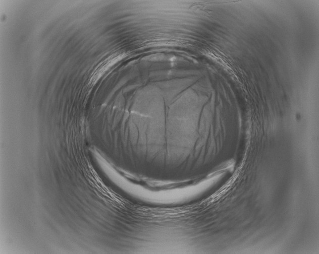 X0000058141121200510171355