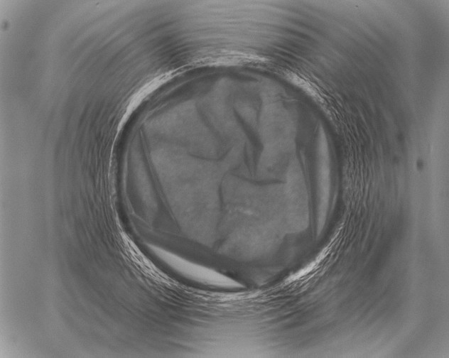 X0000058141122200510171355