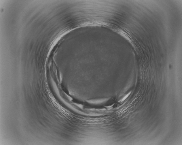 X0000058141124200510171355