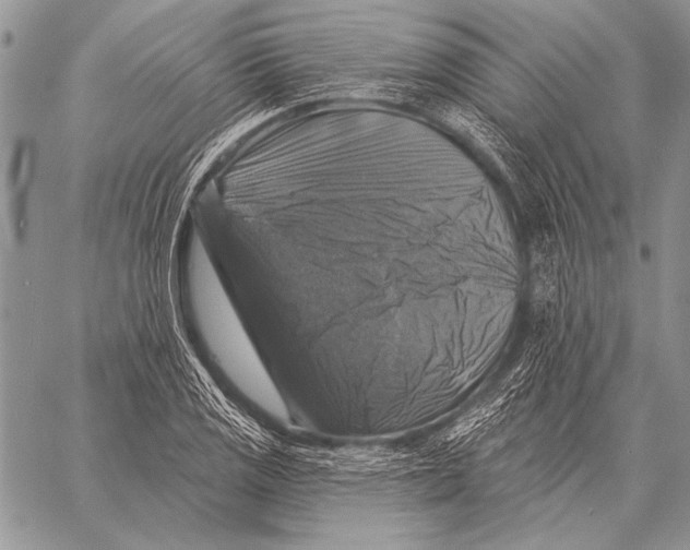X0000058141125200510171355