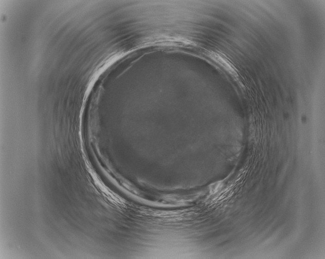 X0000058141128200510171355