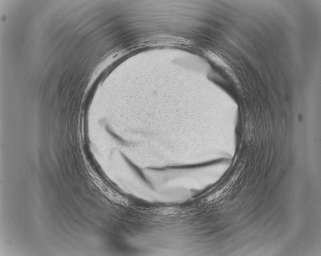 X0000058141130200510171355