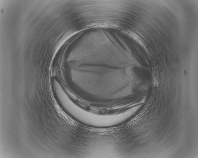 X0000058141132200510171355