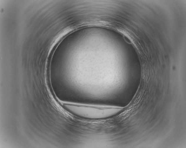 X0000058141139200510171355