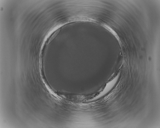 X0000058141144200510171355