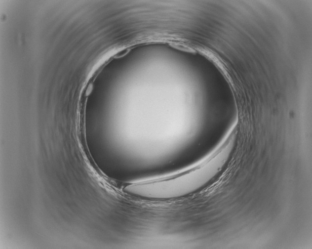 X0000058141147200510171355