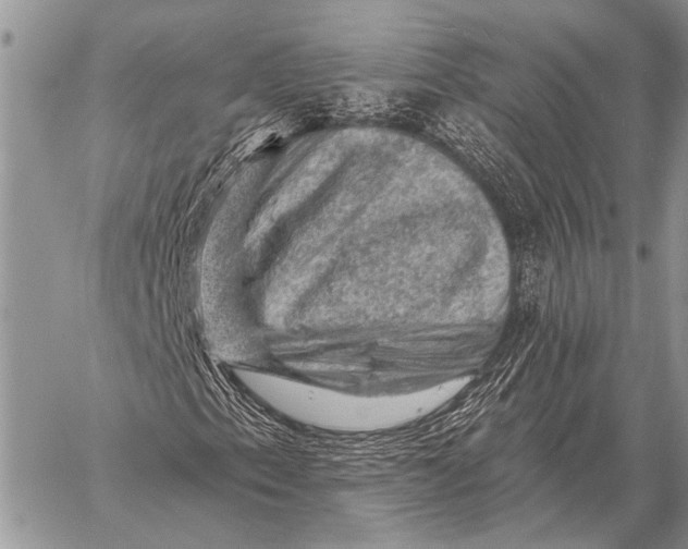 X0000058141153200510171355