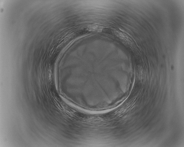 X0000058141154200510171355