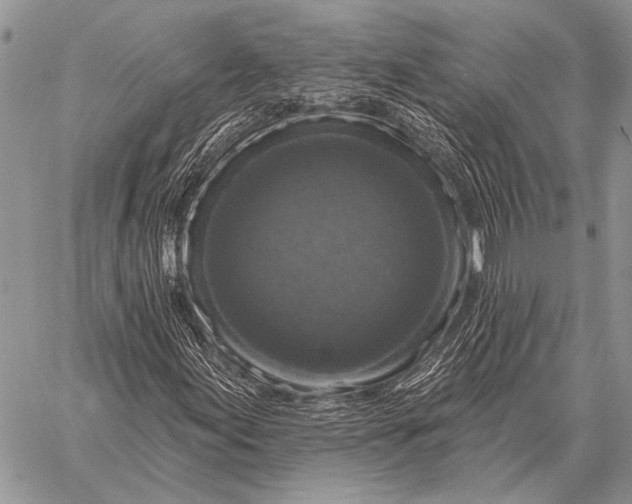 X0000058141155200510171355