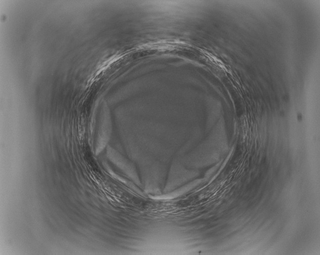 X0000058141158200510171355
