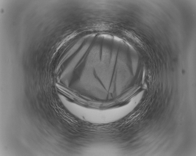 X0000058141160200510171355