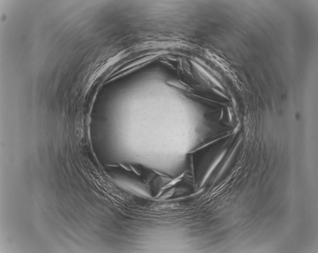 X0000058141165200510171355