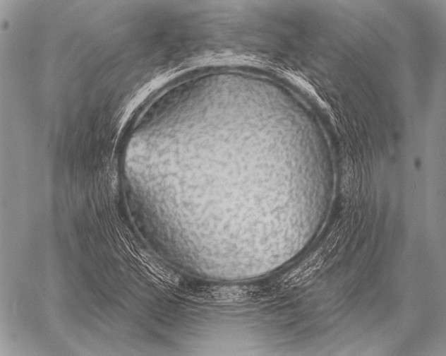 X0000058141167200510171354