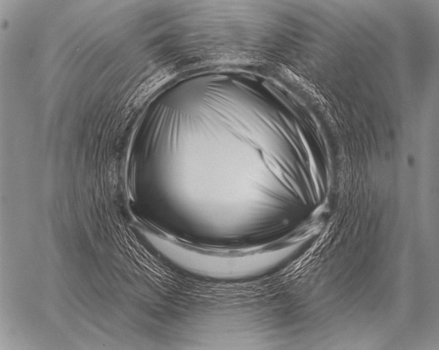 X0000058141169200510171354