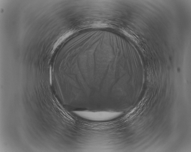 X0000058141171200510171354