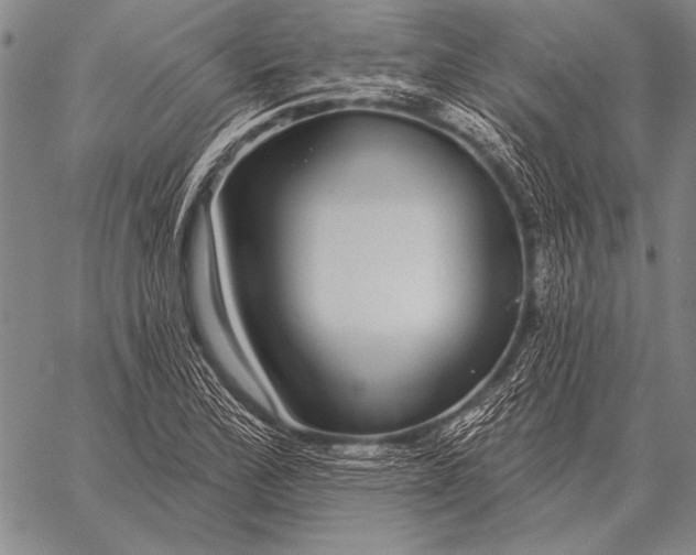 X0000058141172200510171354