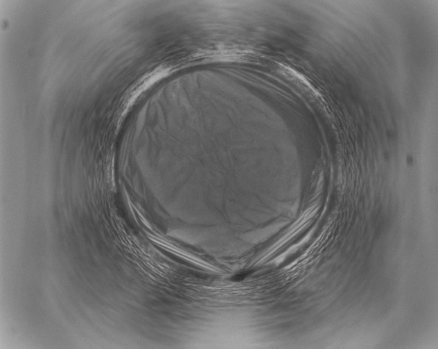 X0000058141174200510171354