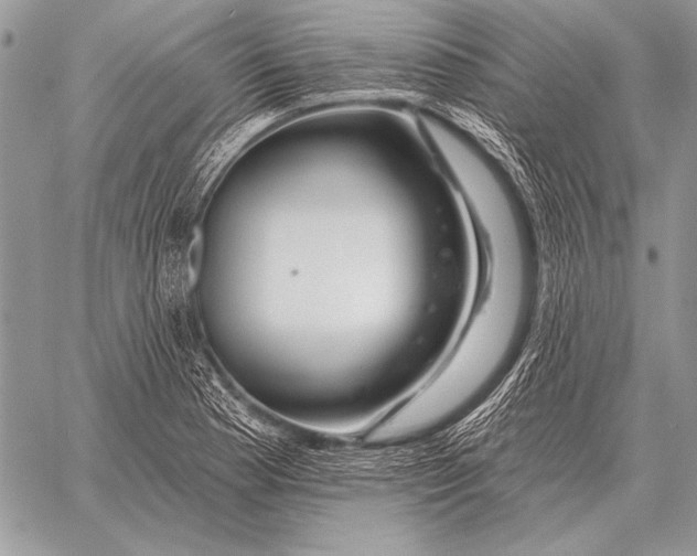 X0000058141177200510171354