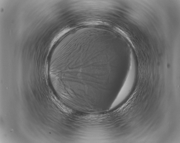 X0000058141179200510171354