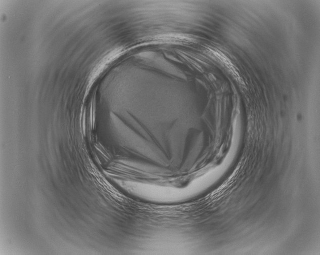 X0000058141180200510171354