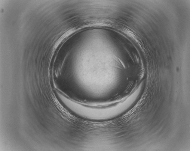 X0000058141181200510171354