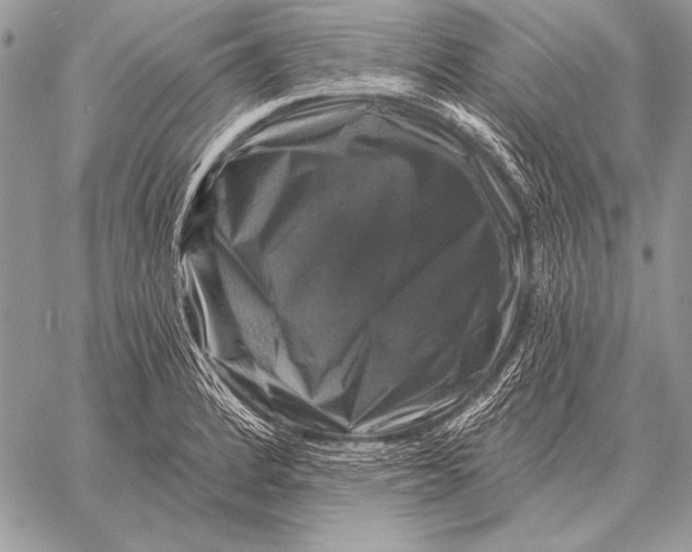 X0000058141184200510171354