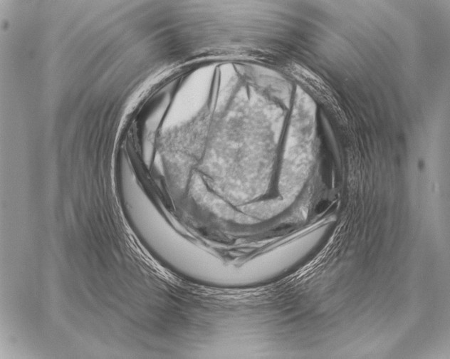 X0000058141188200510171354