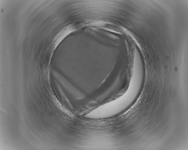 X0000058141194200510171354