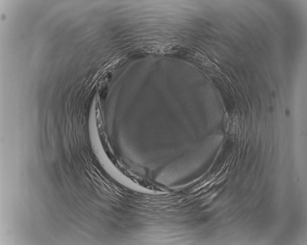 X0000058141202200510171353
