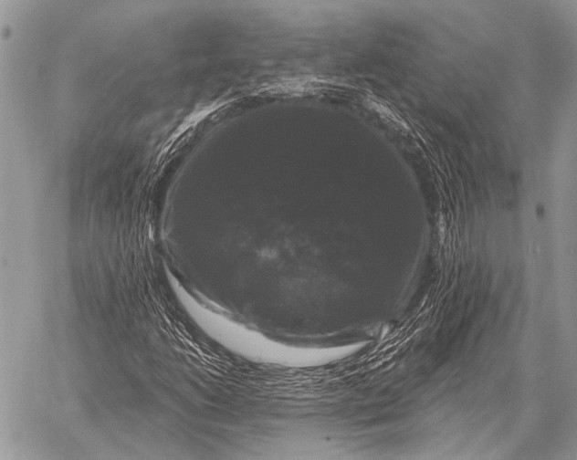 X0000058141206200510171353