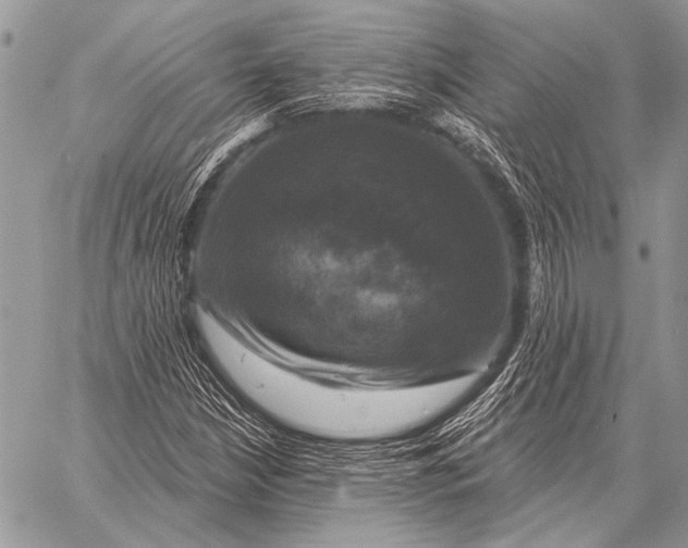 X0000058141210200510171353