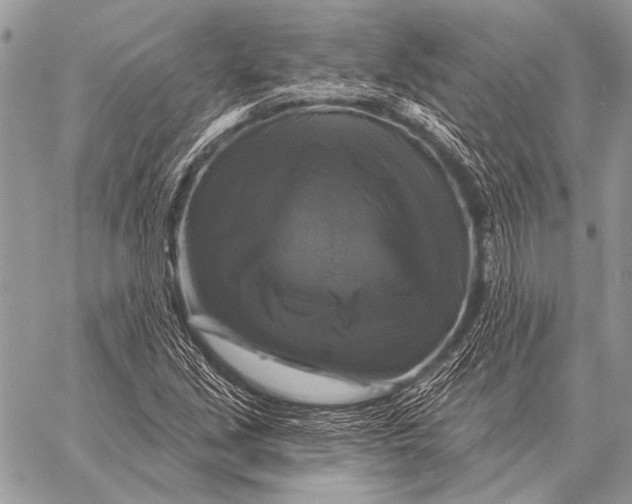 X0000058141213200510171353