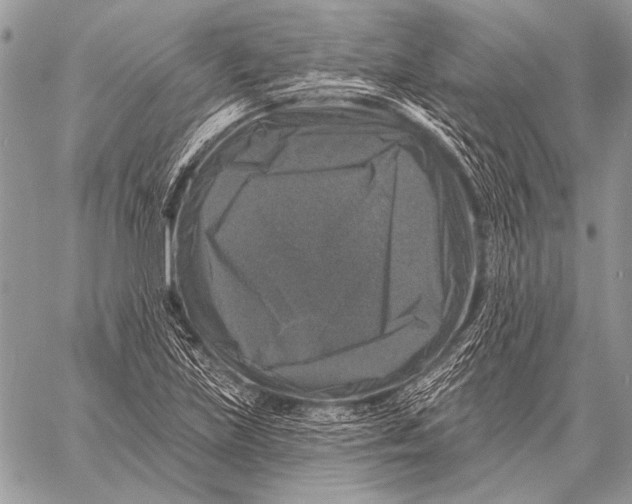 X0000058141219200510171353