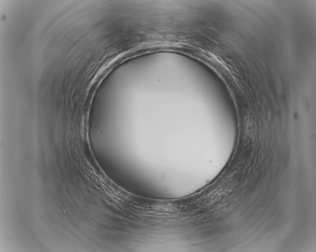 X0000058141220200510171353