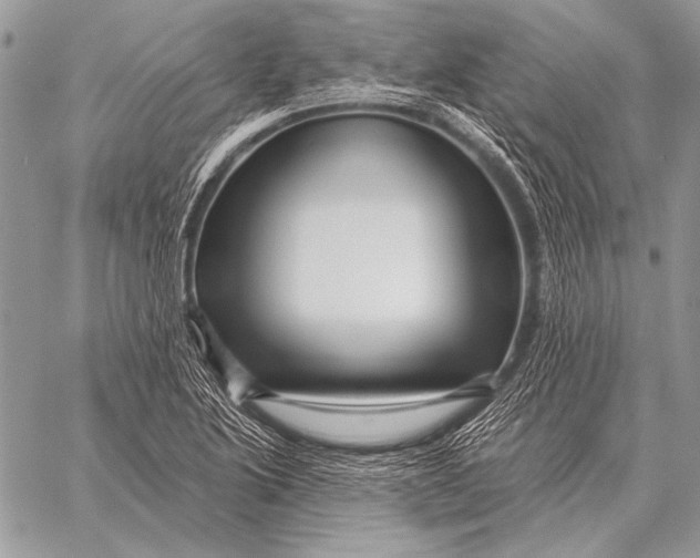 X0000058141222200510171353