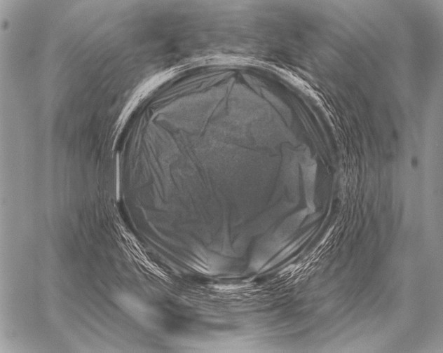 X0000058141223200510171354