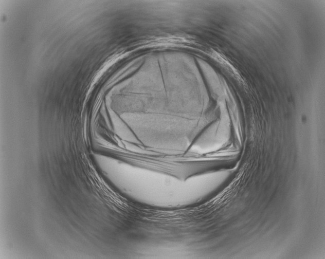 X0000058141224200510171354